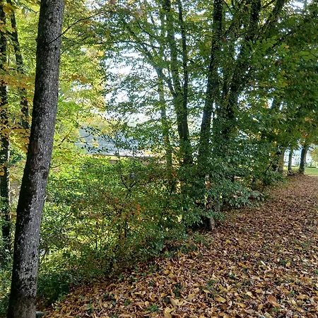 Lägenhet Ecurie De Saint Bale *