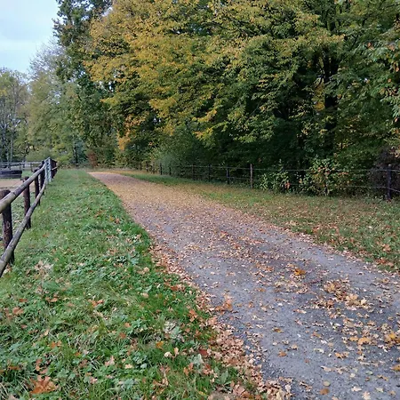 Ecurie De Saint Bale Lägenhet Vrigne-aux-Bois