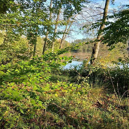 Ecurie De Saint Bale Lägenhet Vrigne-aux-Bois