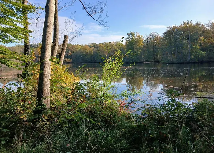Lägenhet Ecurie De Saint Bale Vrigne-aux-Bois