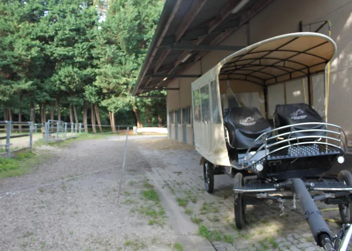 Ecurie De Saint Bale * Vrigne-aux-Bois