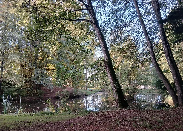 Ecurie De Saint Bale