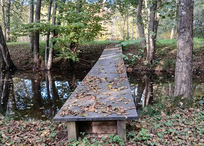 Ecurie De Saint Bale *