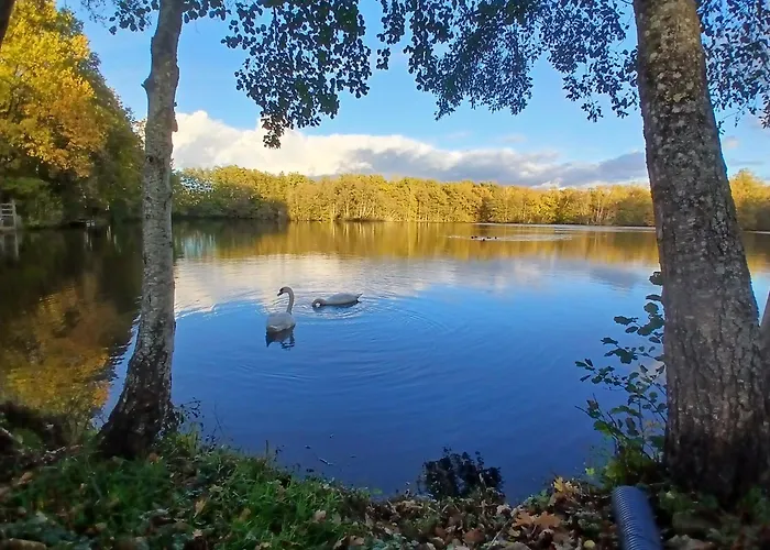 Ecurie De Saint Bale Lägenhet Vrigne-aux-Bois