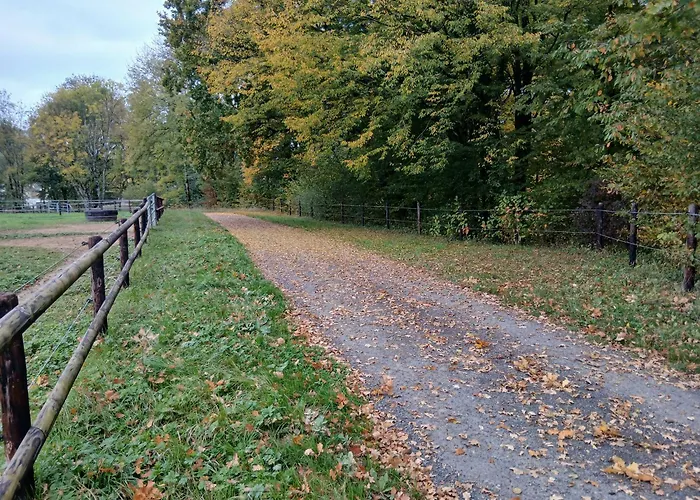 Ecurie De Saint Bale Lägenhet Vrigne-aux-Bois