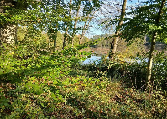 Ecurie De Saint Bale Lägenhet Vrigne-aux-Bois