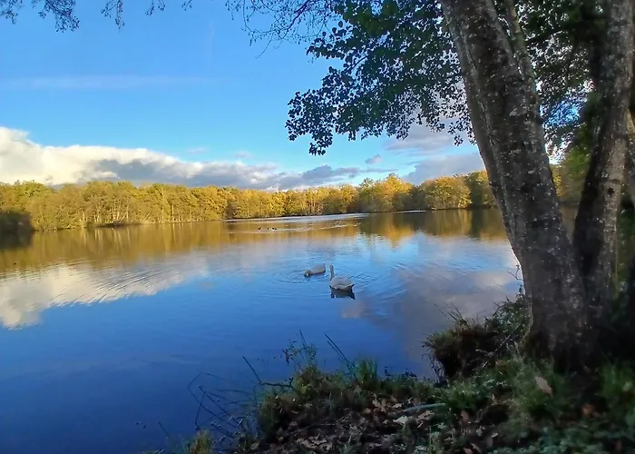 Ecurie De Saint Bale Lägenhet